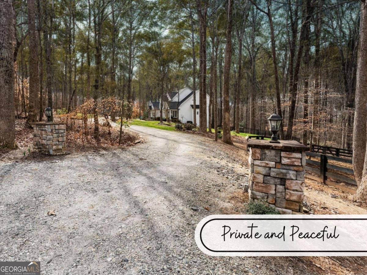 7820 Silver Creek Road Dawsonville - 23