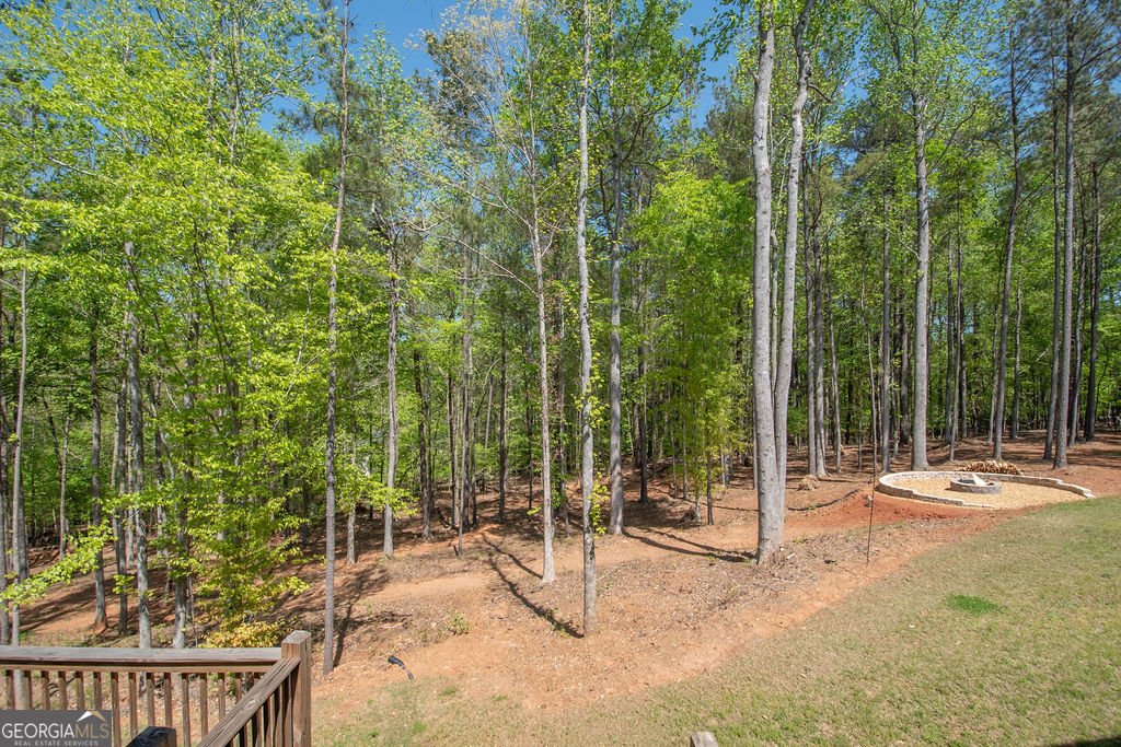 115 Wind Court Tyrone - 17