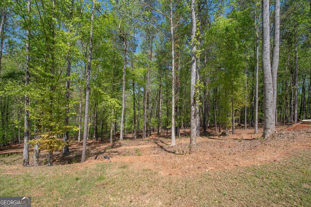 115 Wind Court Tyrone - 26