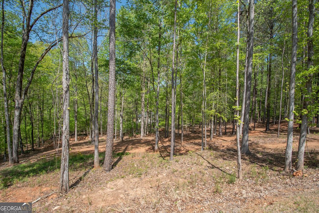 115 Wind Court Tyrone - 33