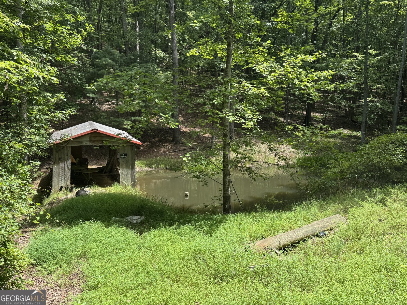 86 White Pines Road Cleveland - 2