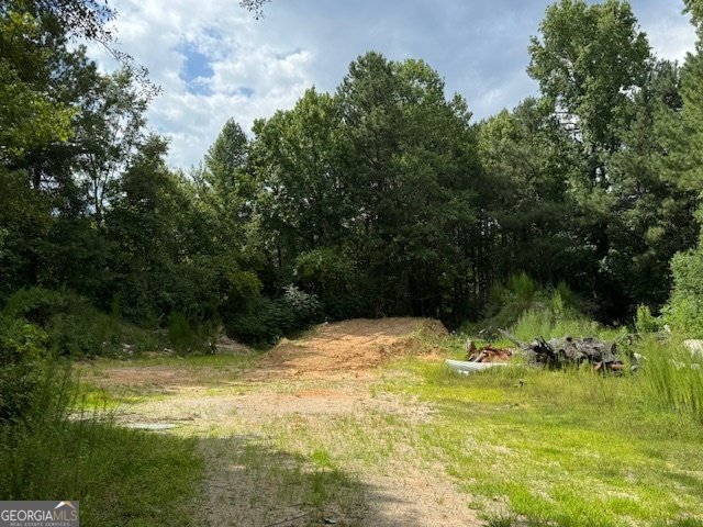 8332 UNION GROVE Road Lithonia - 21