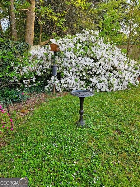 2461 Woodridge Drive Decatur - 54