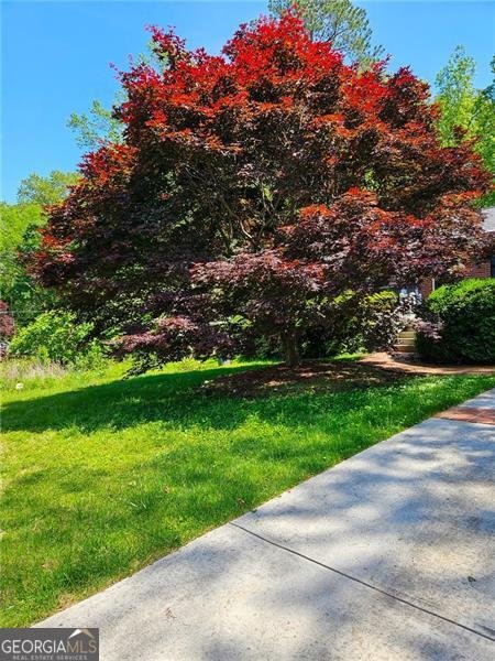 2461 Woodridge Drive Decatur - 7