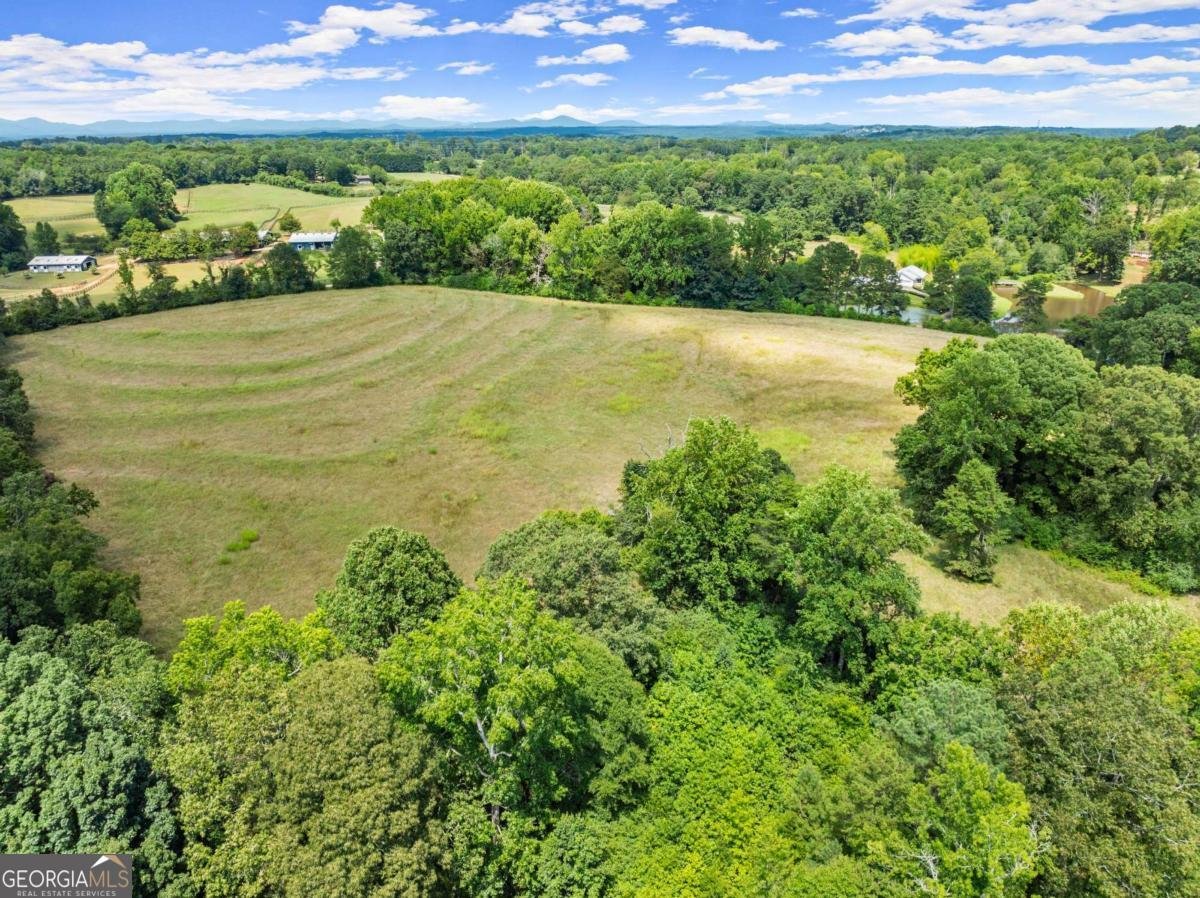 7275 Keith Bridge Road Gainesville - 39