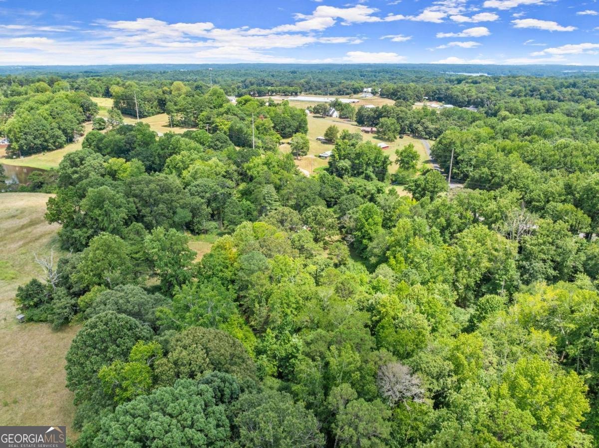 7275 Keith Bridge Road Gainesville - 40