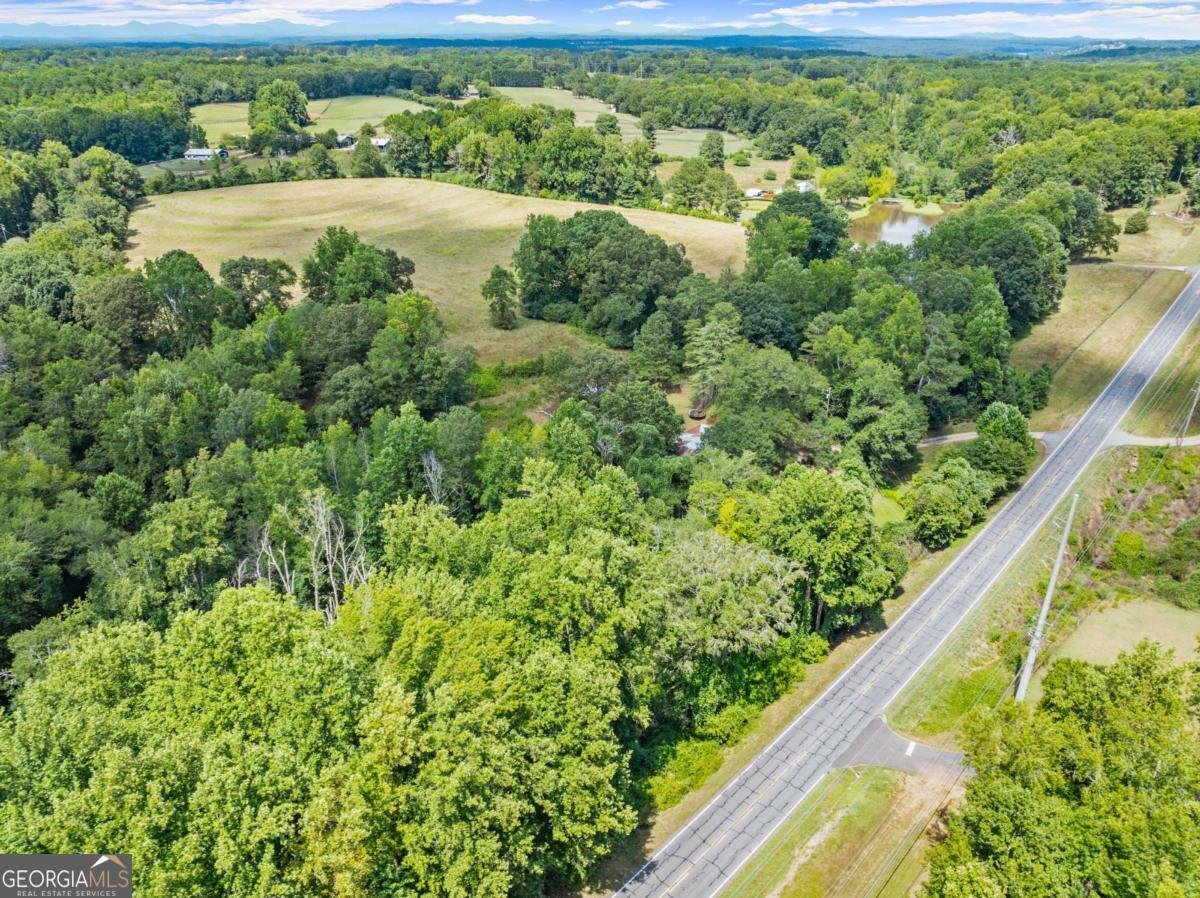 7275 Keith Bridge Road Gainesville - 41