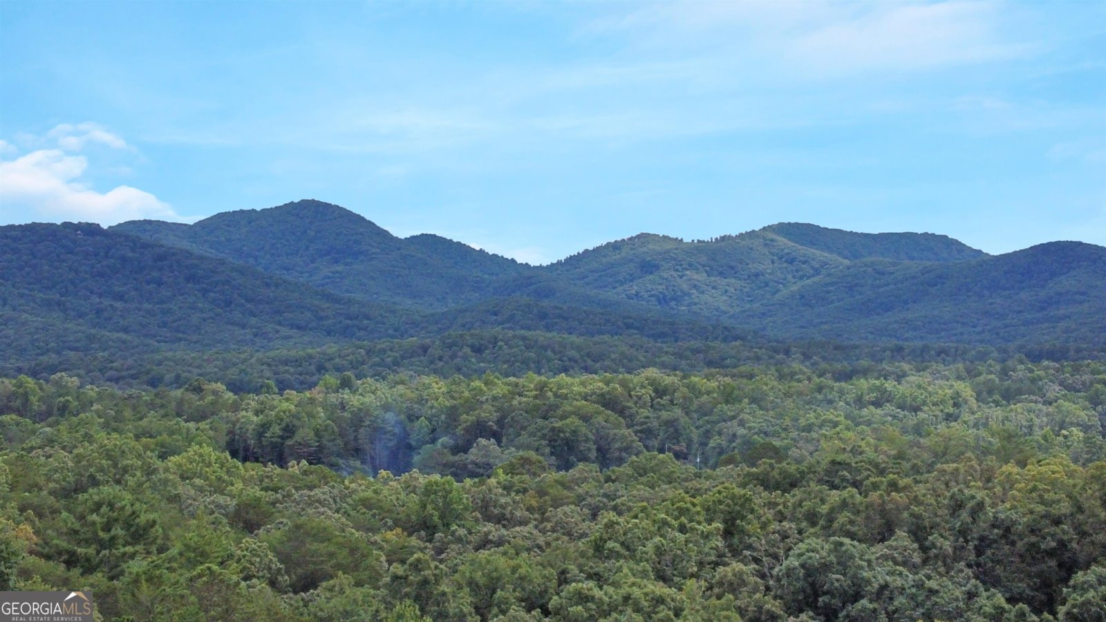 161 Old Dial Road Morganton - 5