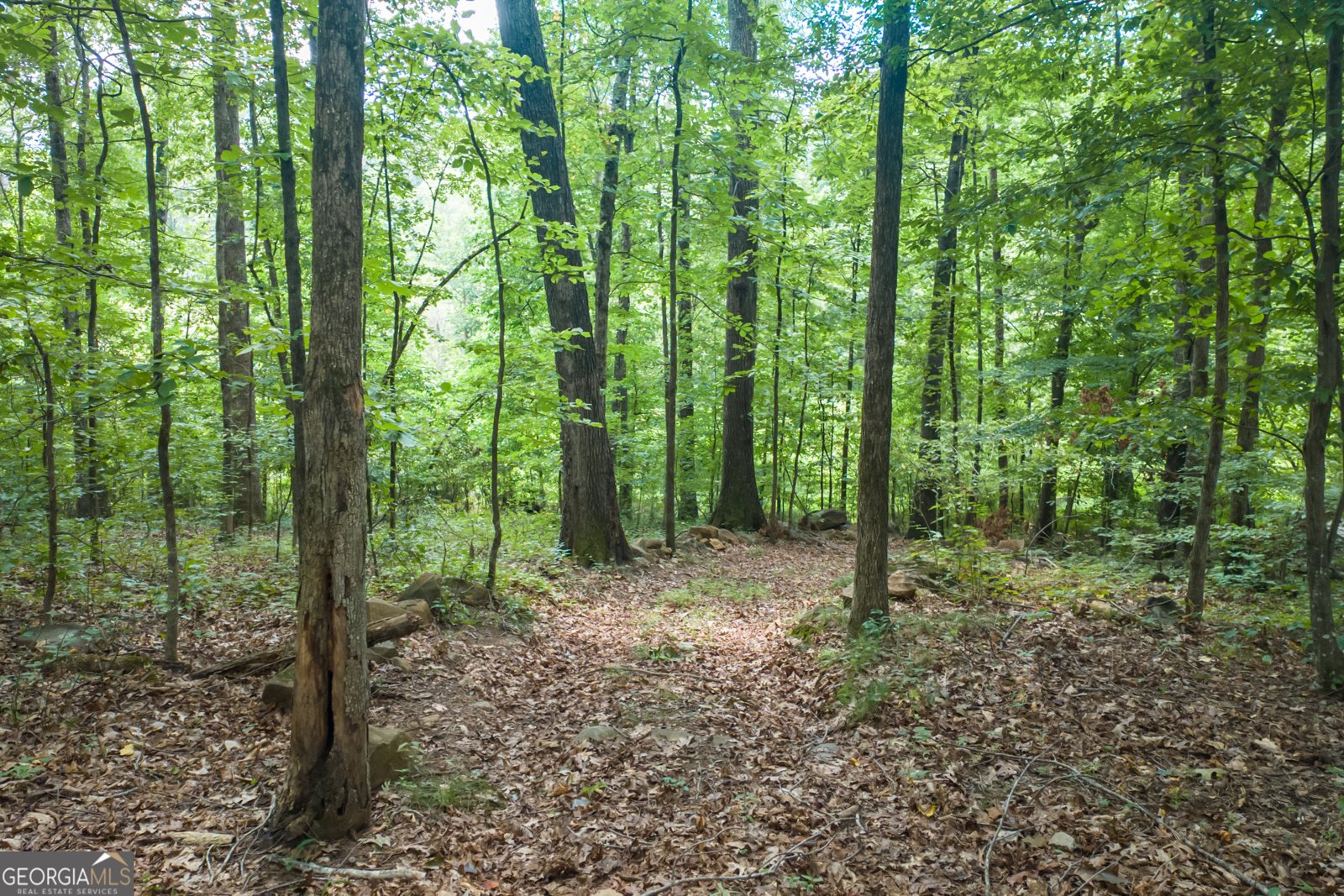 1345 Chandler Road Lawrenceville - 12