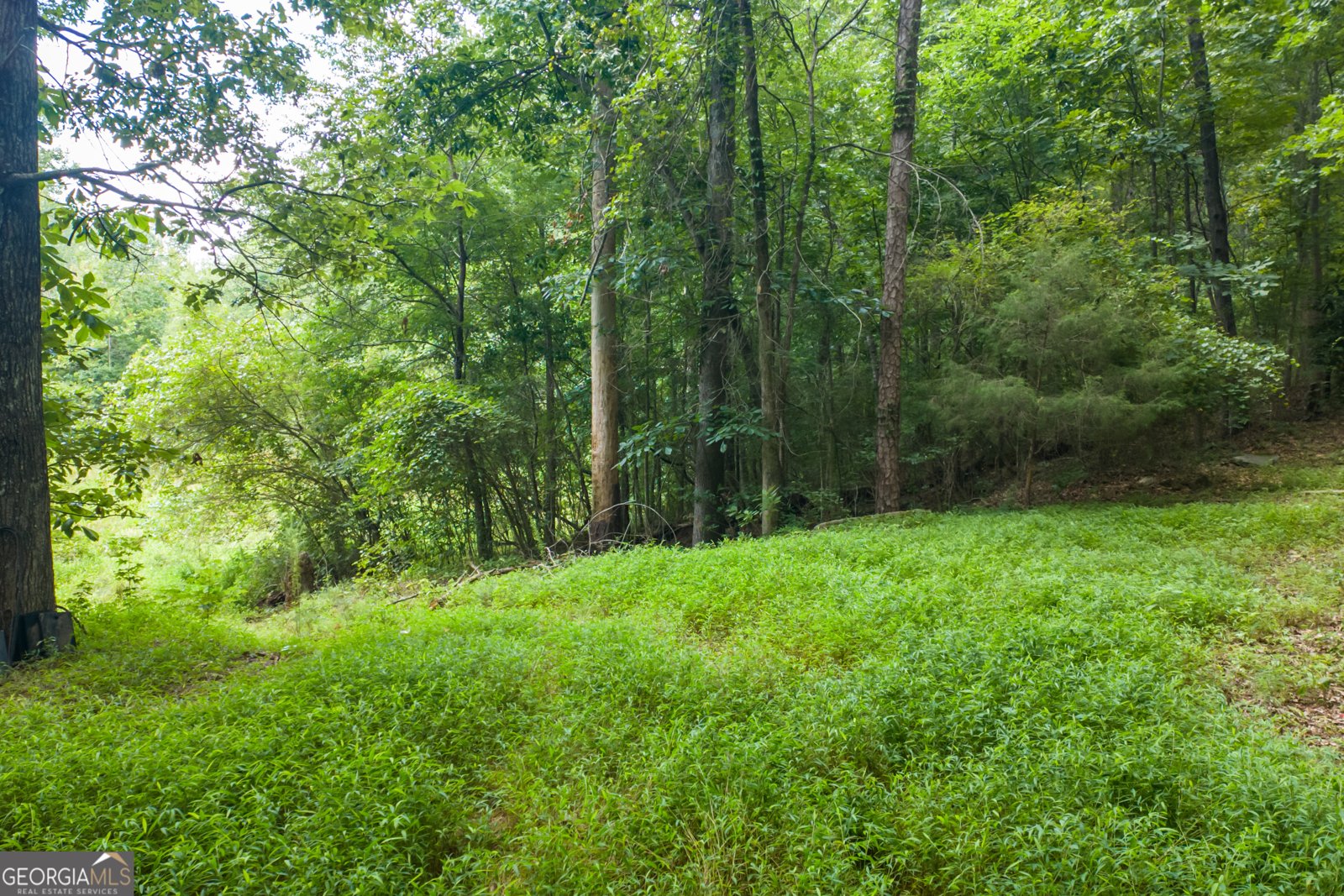 1345 Chandler Road Lawrenceville - 13