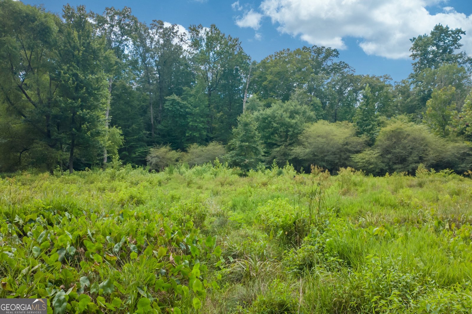 1345 Chandler Road Lawrenceville - 16