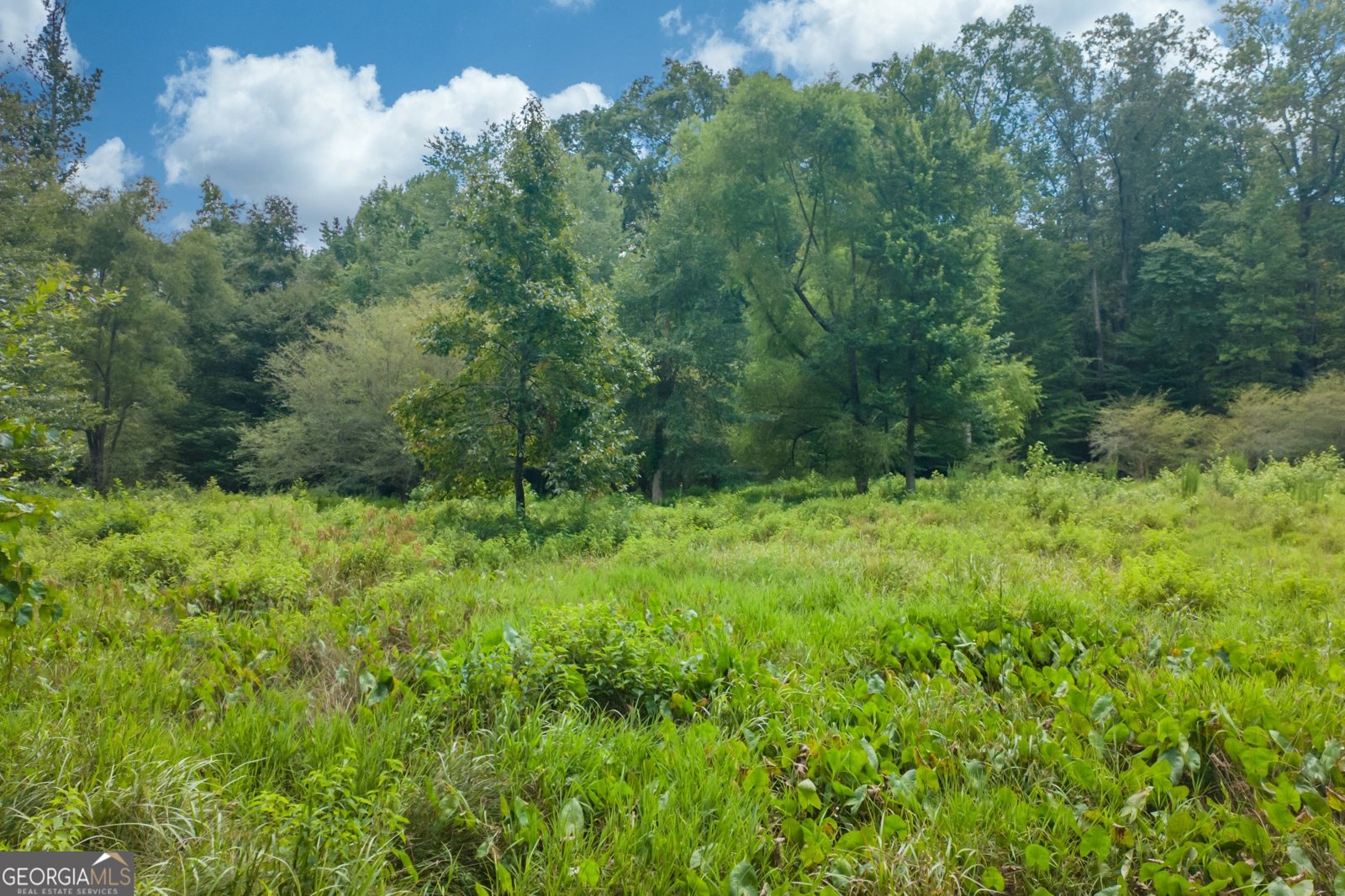 1345 Chandler Road Lawrenceville - 20