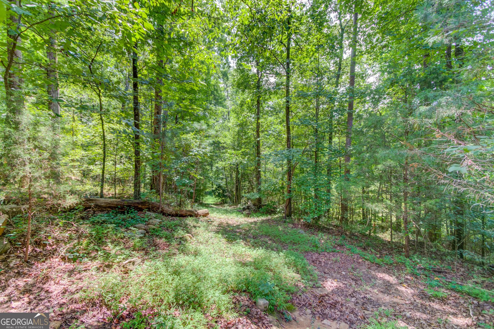 1345 Chandler Road Lawrenceville - 7