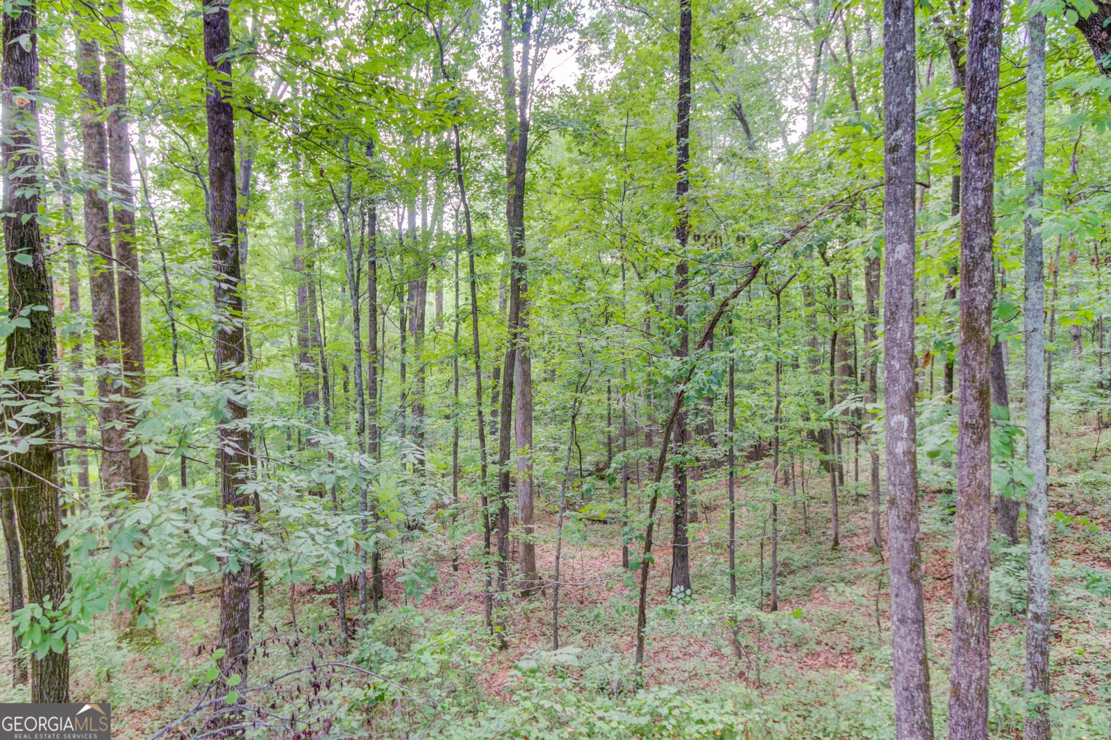 1345 Chandler Road Lawrenceville - 9