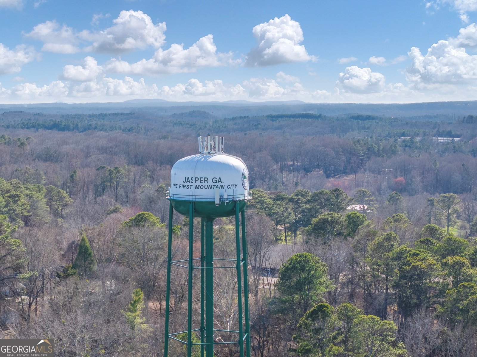 143 Rolling Meadow Trace Jasper - 62