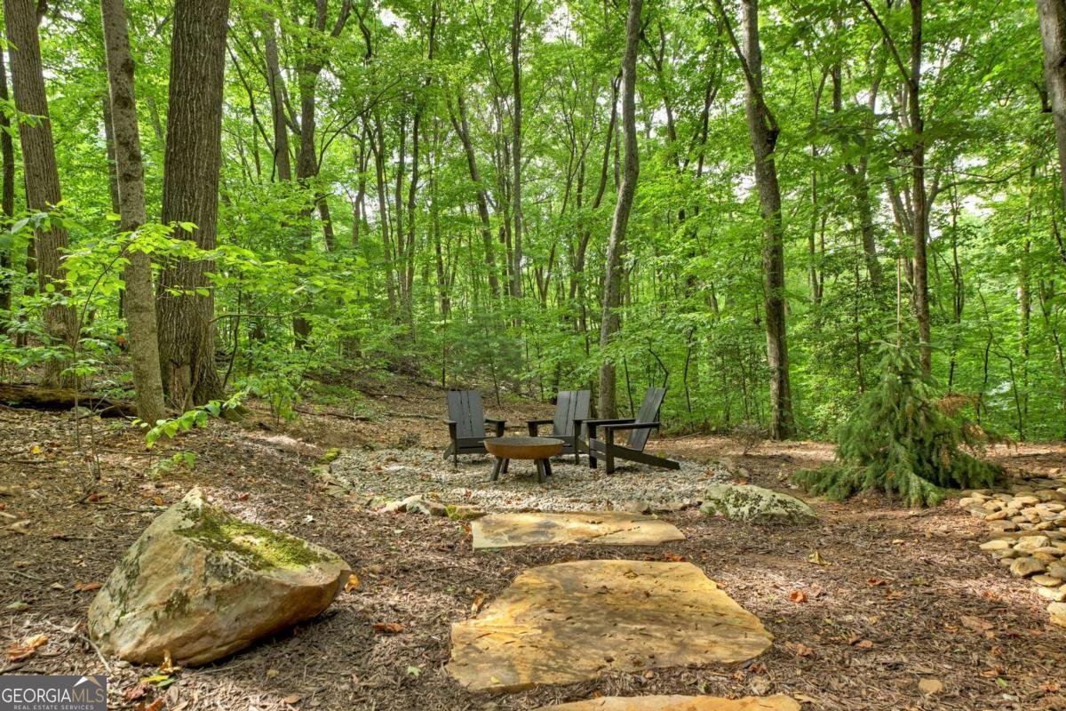 545 Chestnut Ridge Blue Ridge - 2