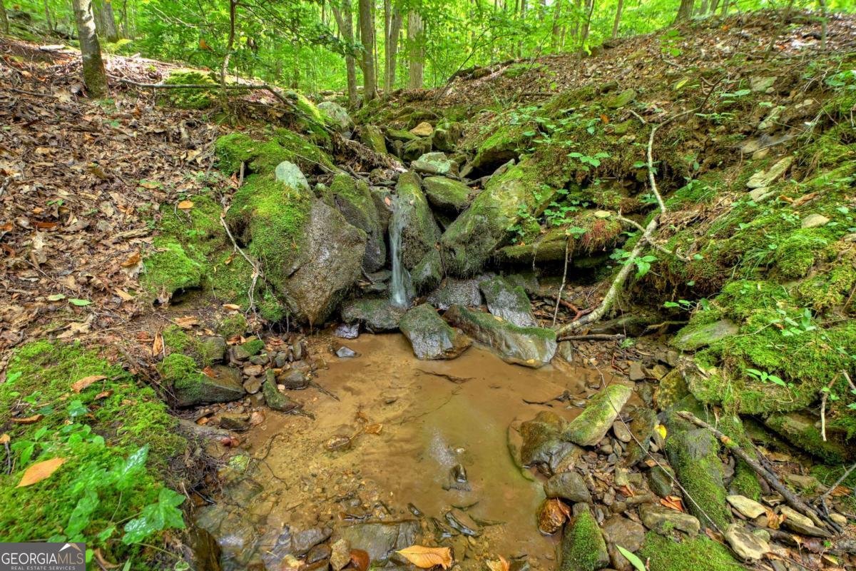 545 Chestnut Ridge Blue Ridge - 22