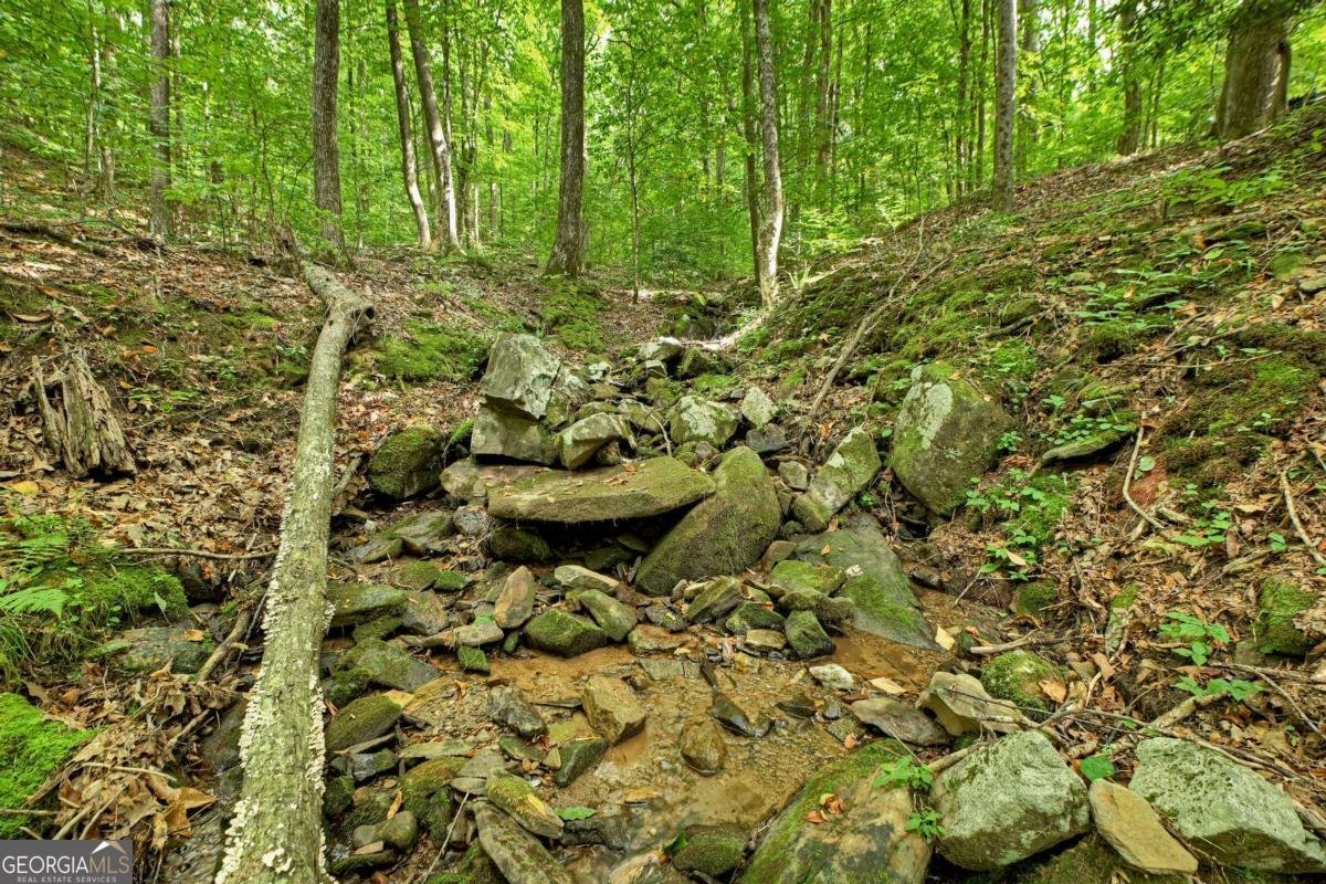 545 Chestnut Ridge Blue Ridge - 23