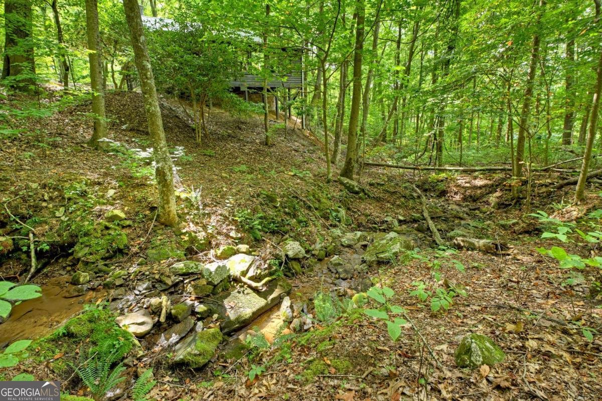 545 Chestnut Ridge Blue Ridge - 5