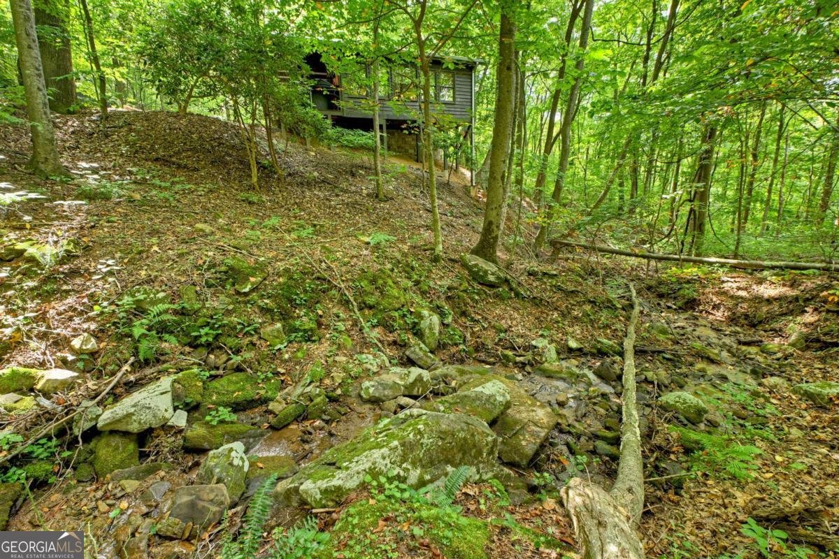 545 Chestnut Ridge Blue Ridge - 6