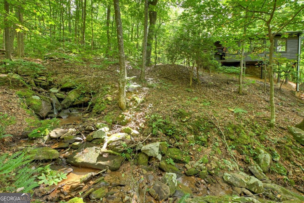 545 Chestnut Ridge Blue Ridge - 7