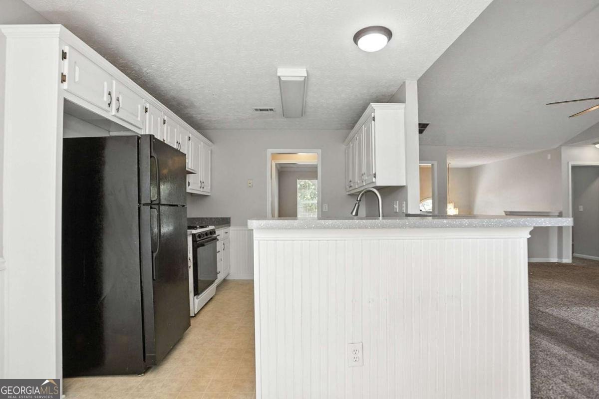 11747 Spring Lake Way Fayetteville - 12
