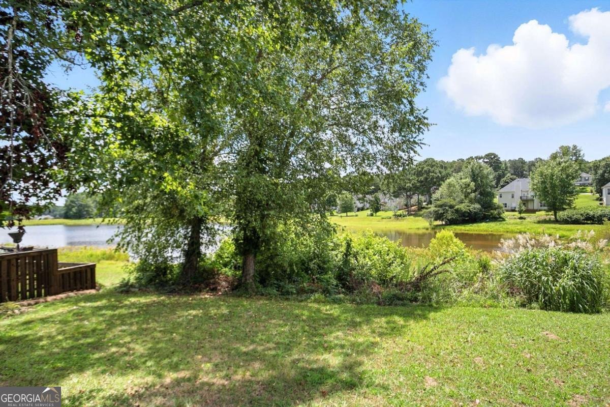 11747 Spring Lake Way Fayetteville - 42
