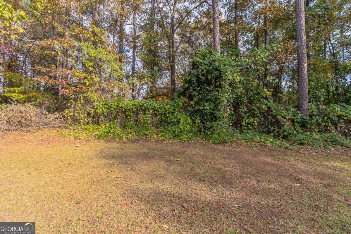 7133 Pineview Drive Covington - 24