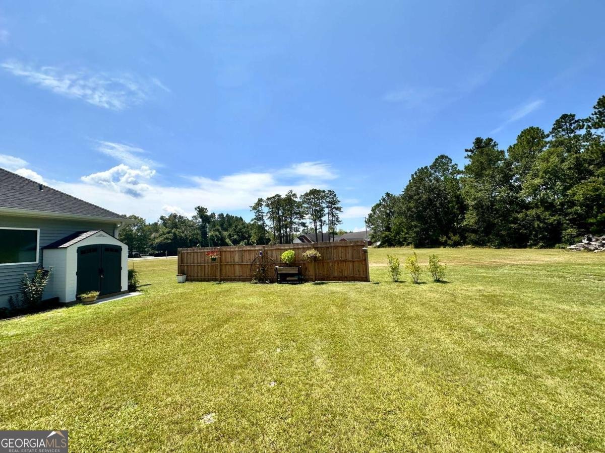 6435 Youmans Chapel Road Blackshear - 40