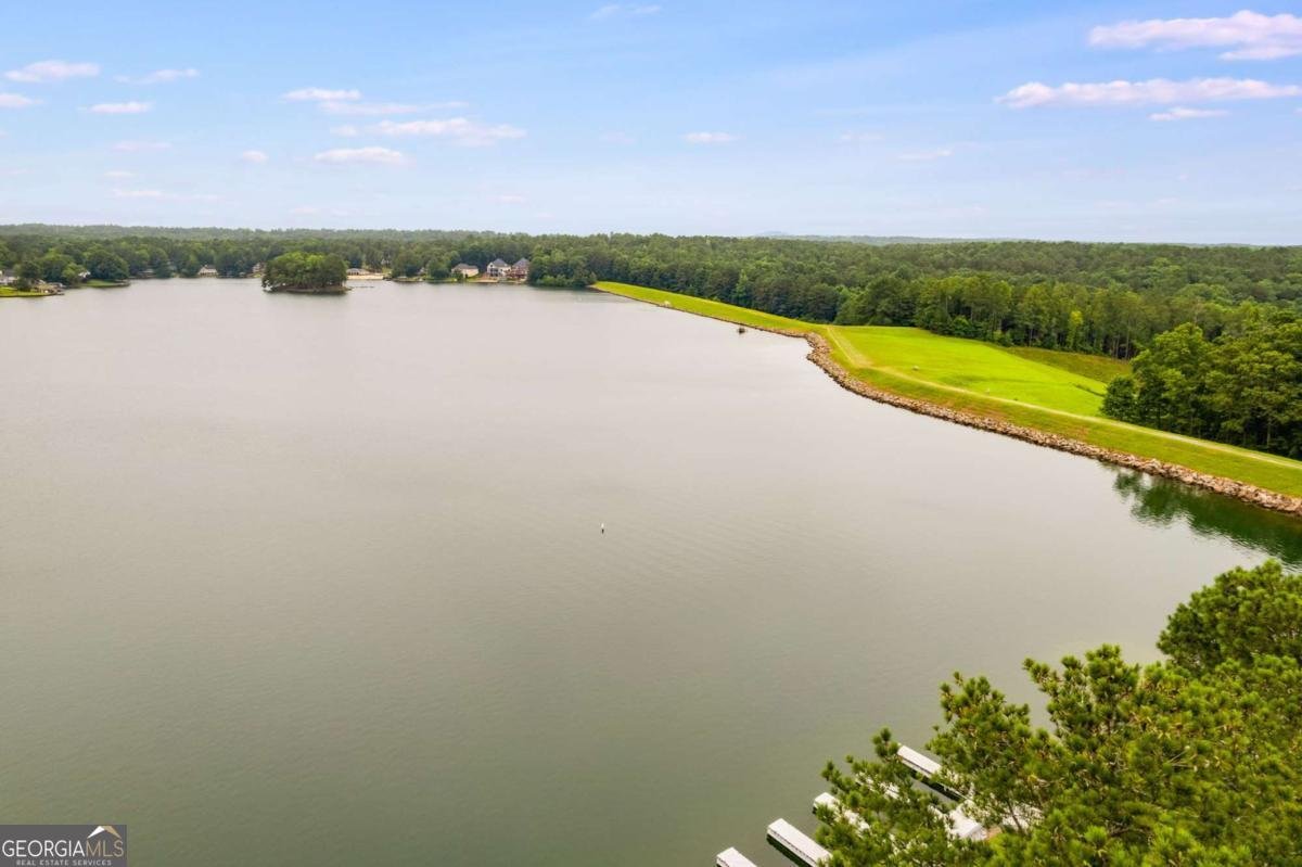 7132 Greenleaves Court Villa Rica - 3