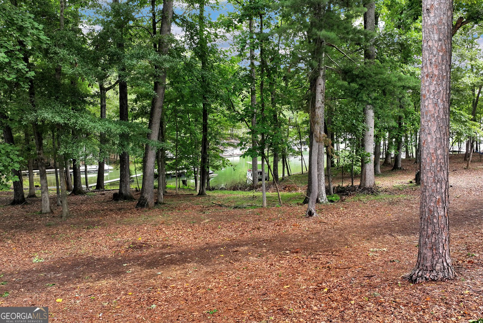 85 Nix Point Road Dawsonville - 60