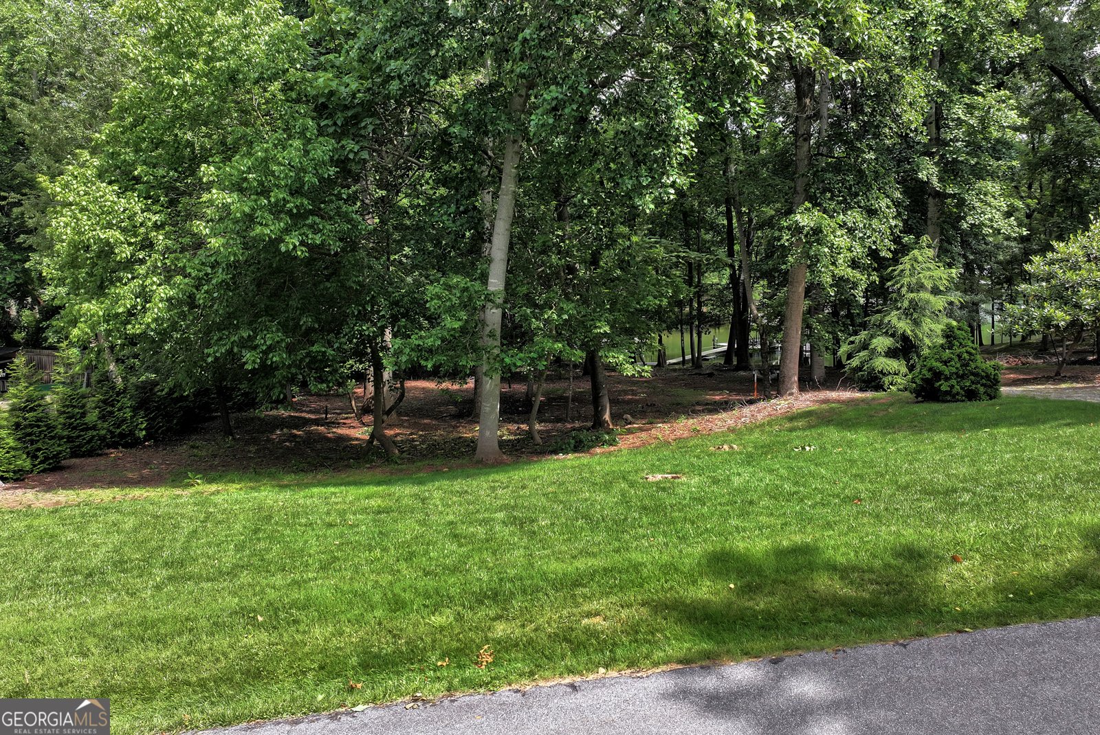 85 Nix Point Road Dawsonville - 67