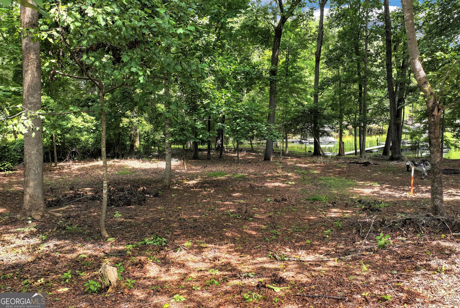 85 Nix Point Road Dawsonville - 69