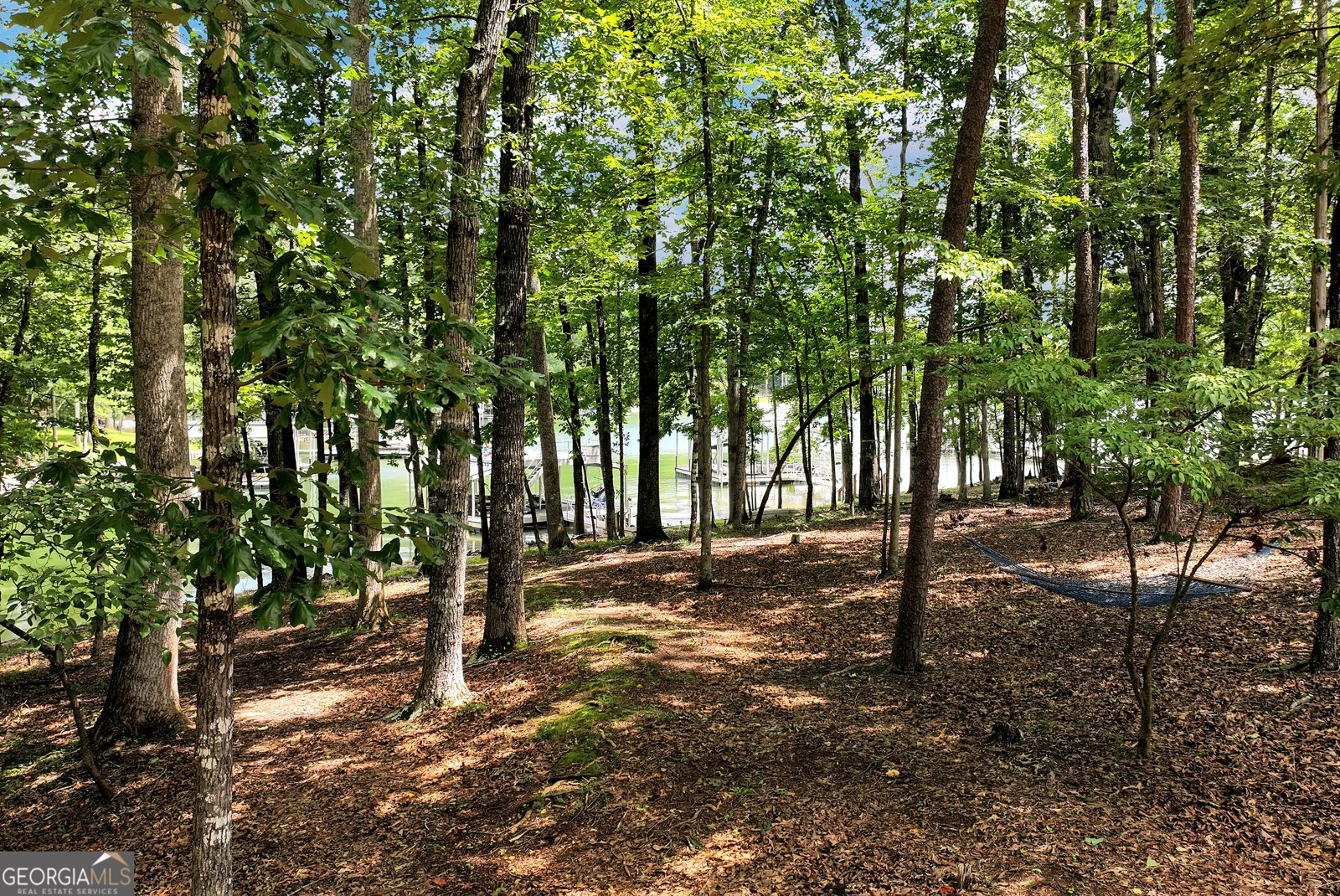 85 Nix Point Road Dawsonville - 70