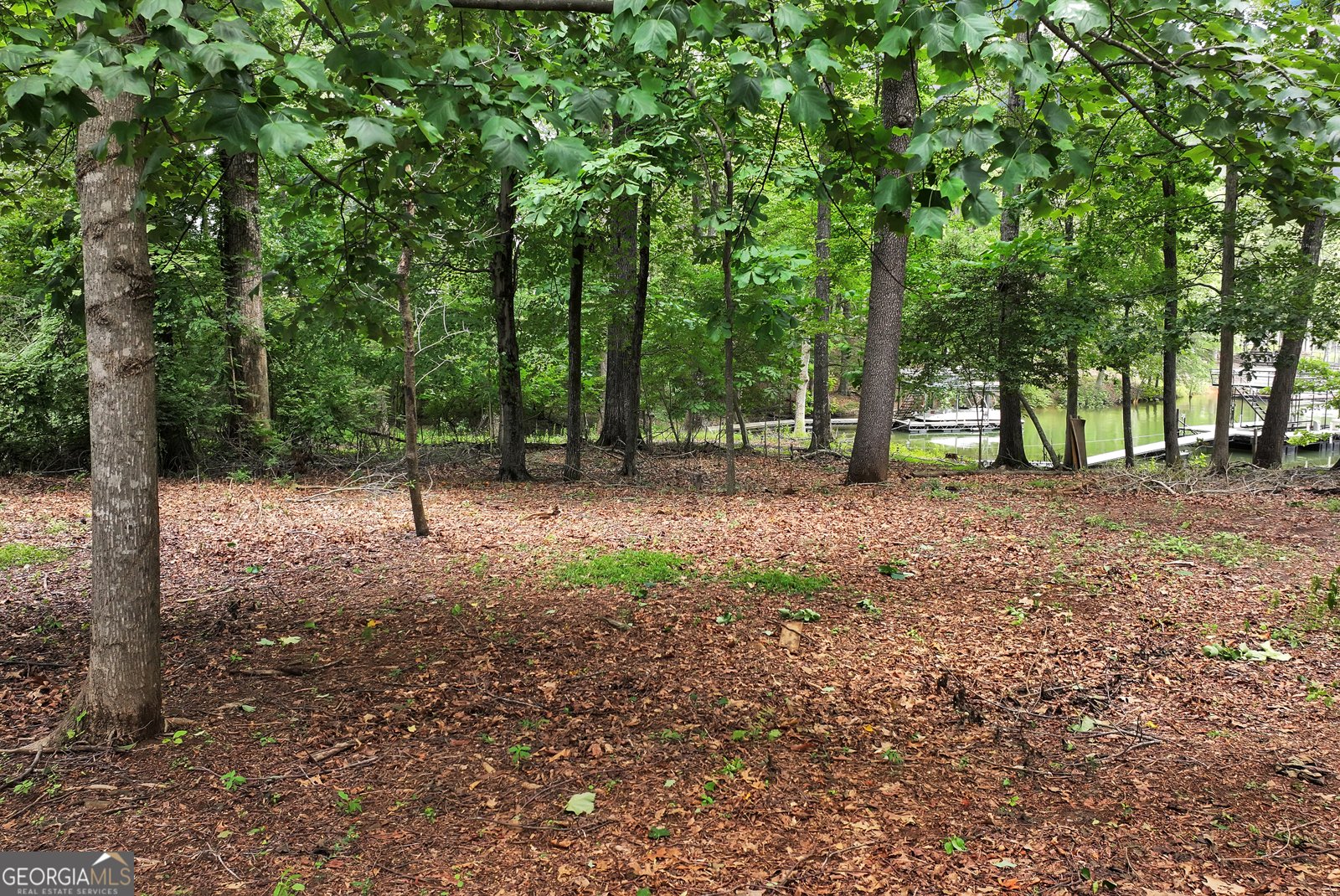 85 Nix Point Road Dawsonville - 74