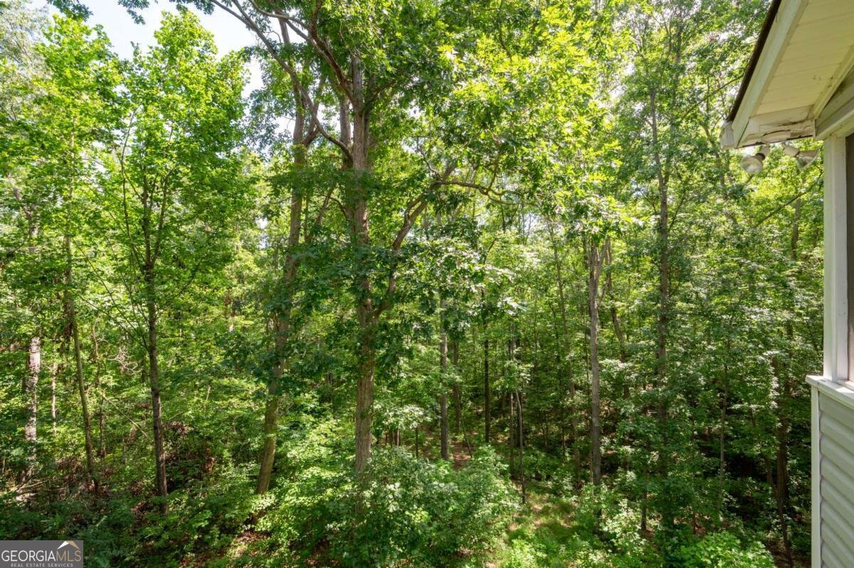 3060 Cypress Cove Ball Ground - 41