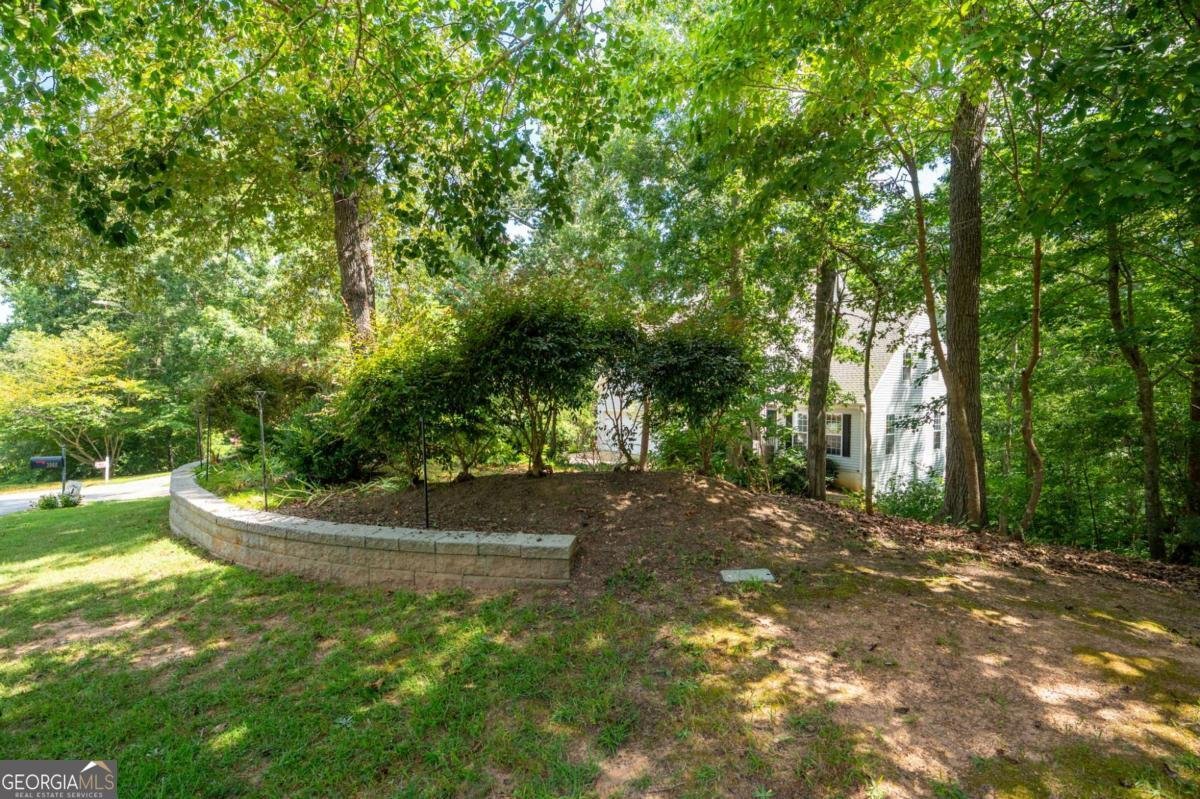 3060 Cypress Cove Ball Ground - 46