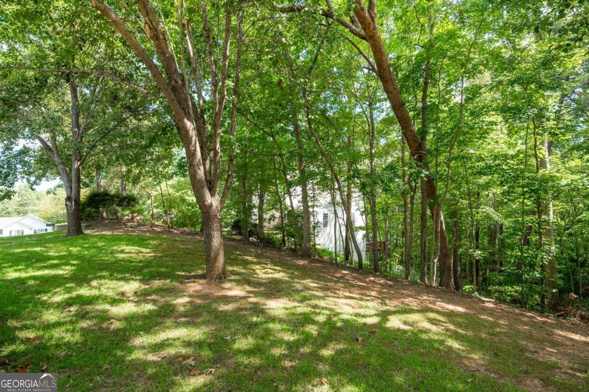 3060 Cypress Cove Ball Ground - 47