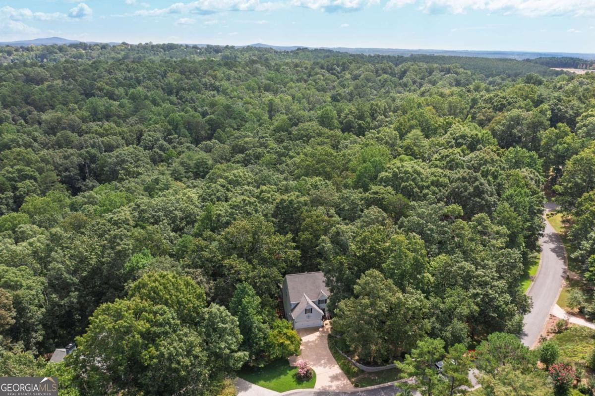 3060 Cypress Cove Ball Ground - 49