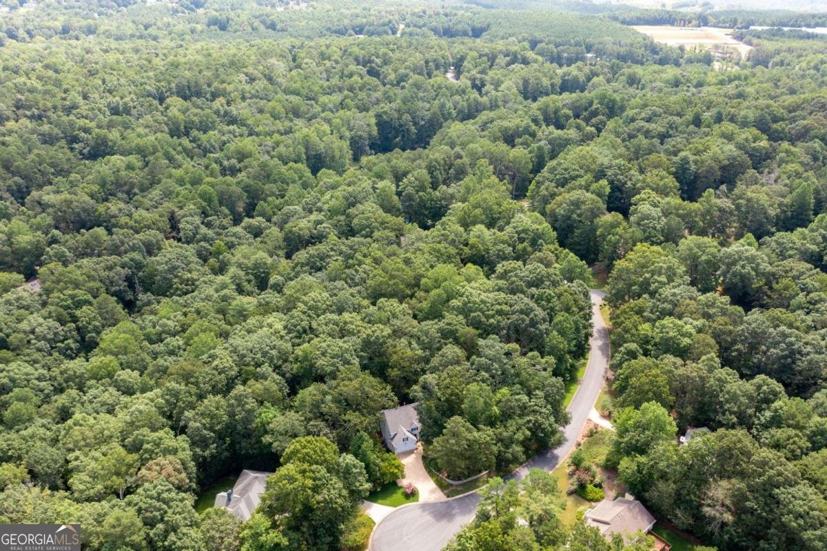 3060 Cypress Cove Ball Ground - 51