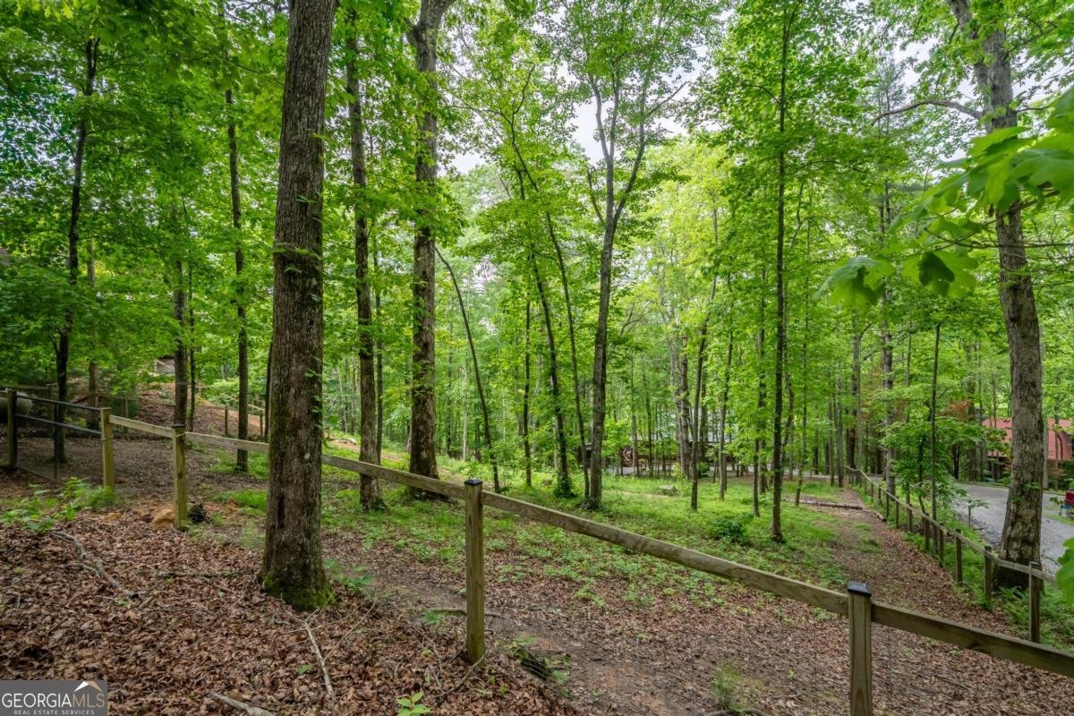 32 Grice Woods Road Blue Ridge - 14
