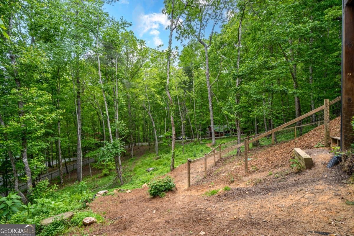 32 Grice Woods Road Blue Ridge - 15