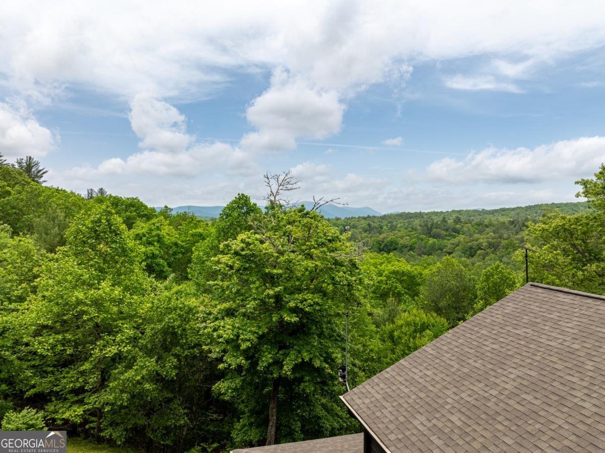 32 Grice Woods Road Blue Ridge - 17