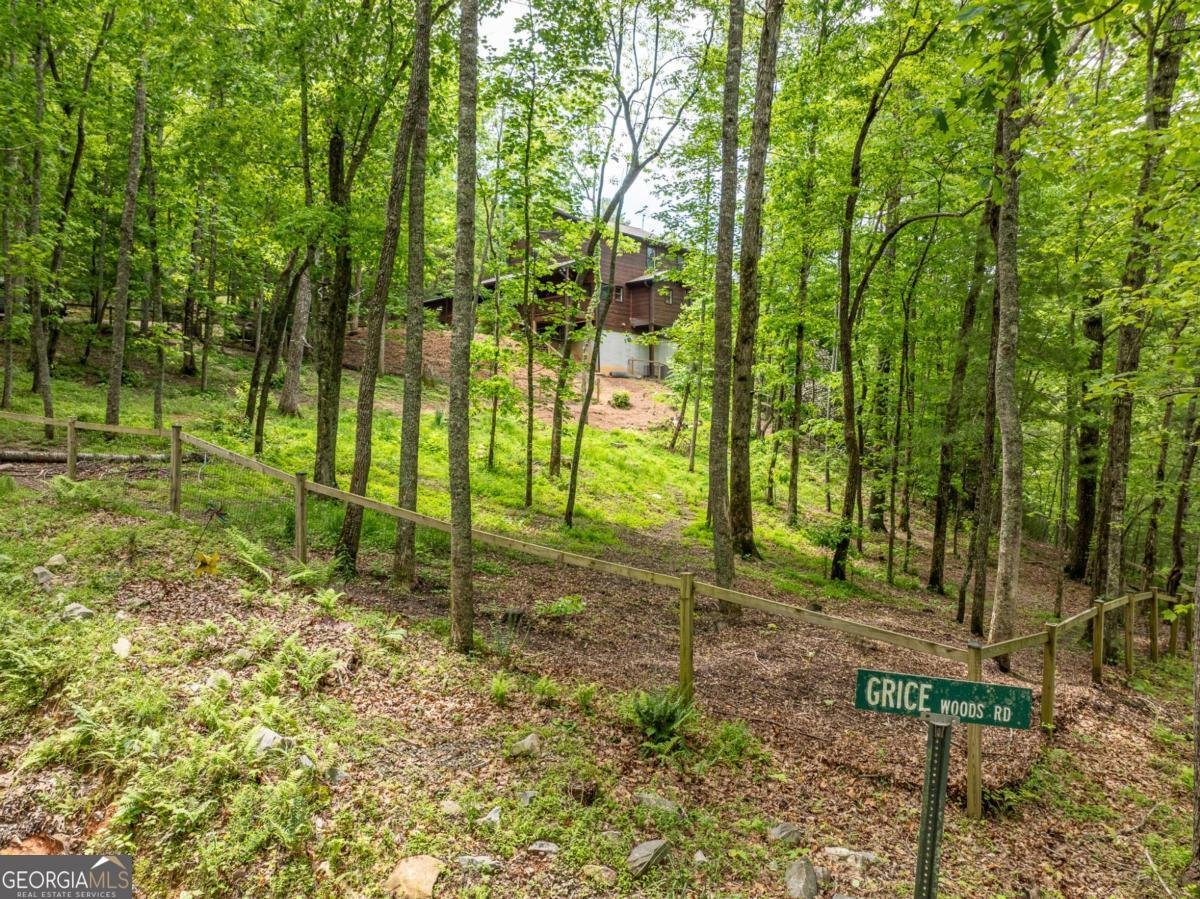 32 Grice Woods Road Blue Ridge - 18