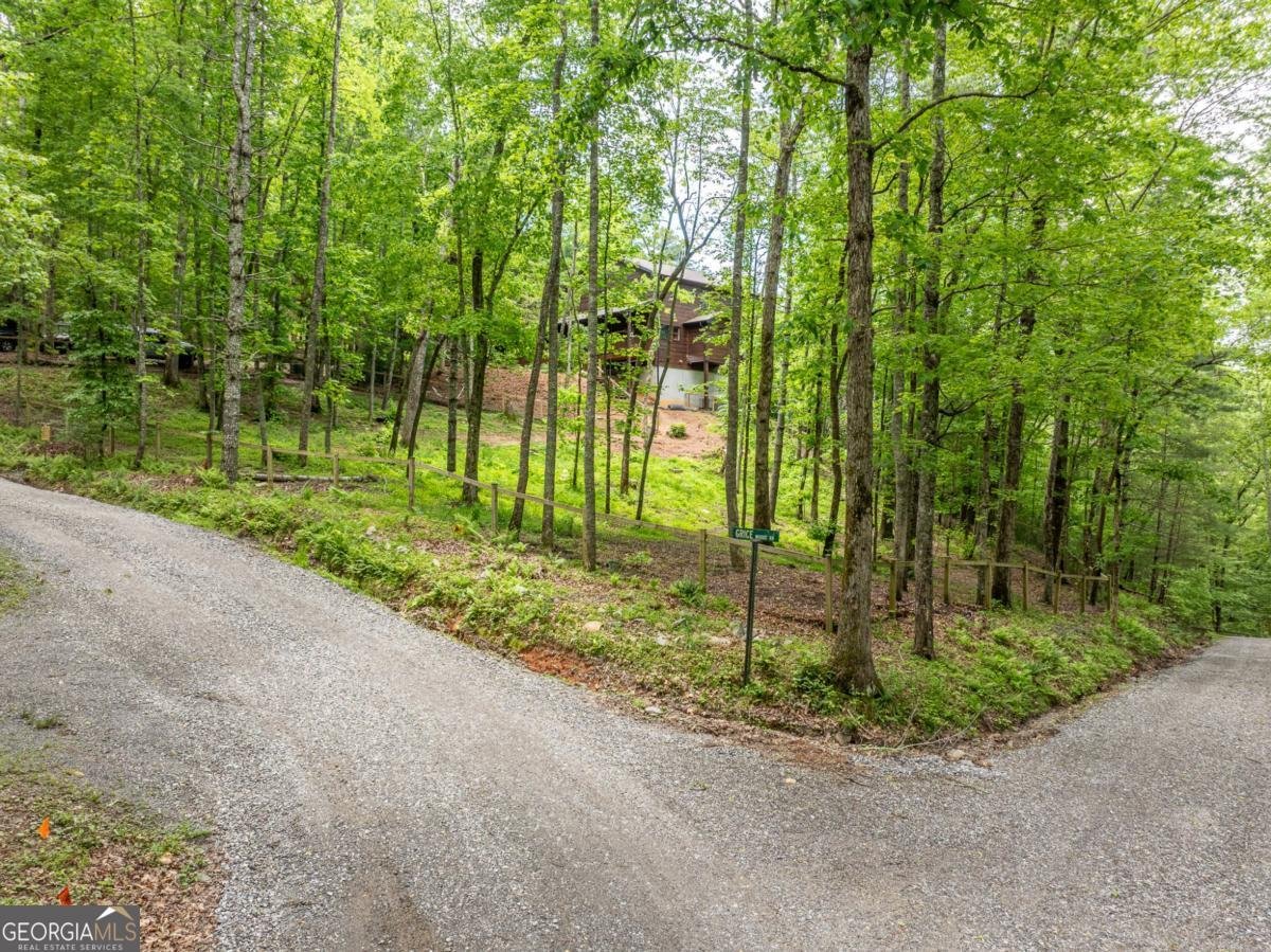 32 Grice Woods Road Blue Ridge - 19