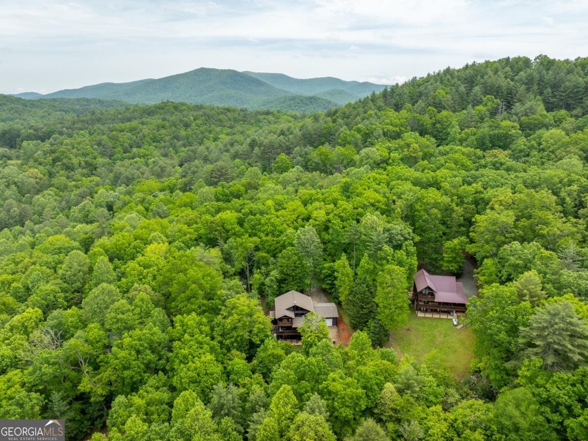 32 Grice Woods Road Blue Ridge - 20