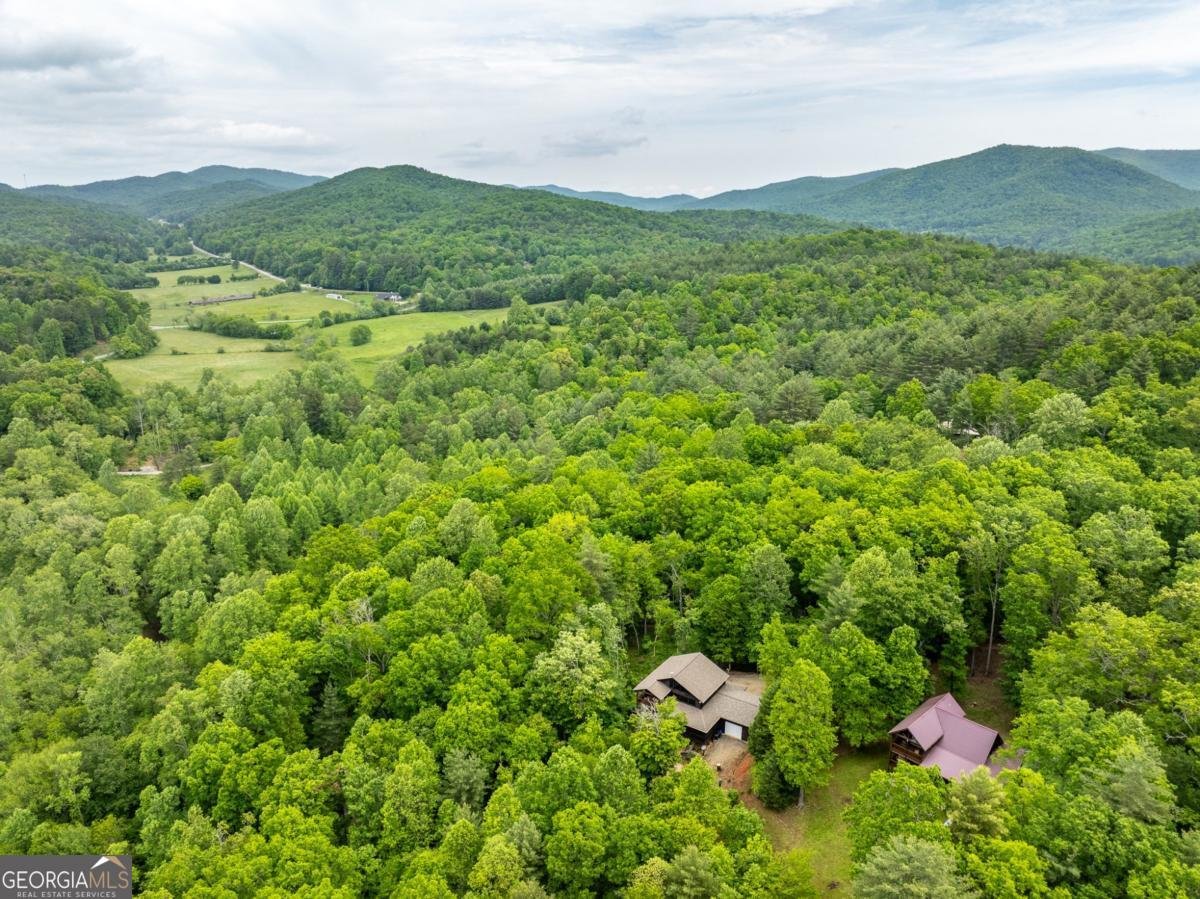 32 Grice Woods Road Blue Ridge - 21