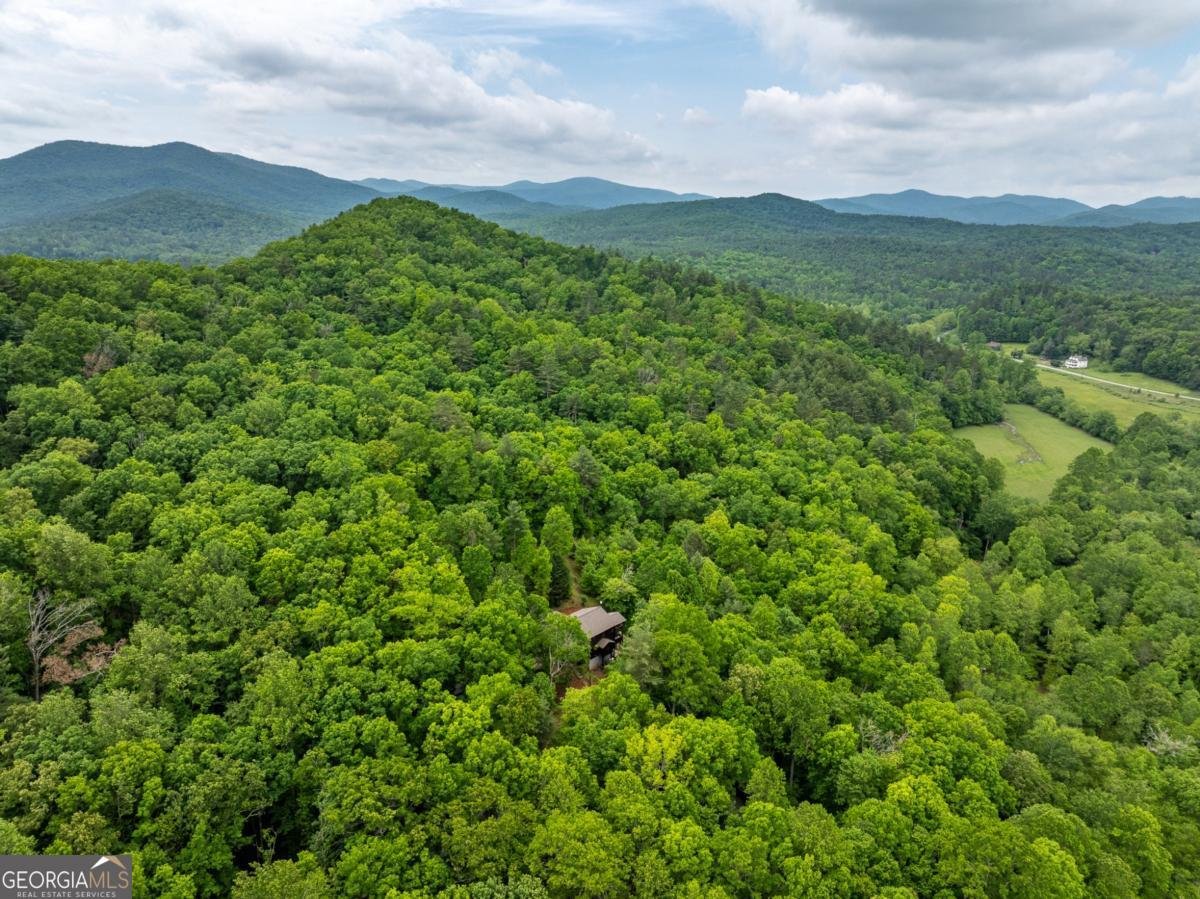 32 Grice Woods Road Blue Ridge - 22