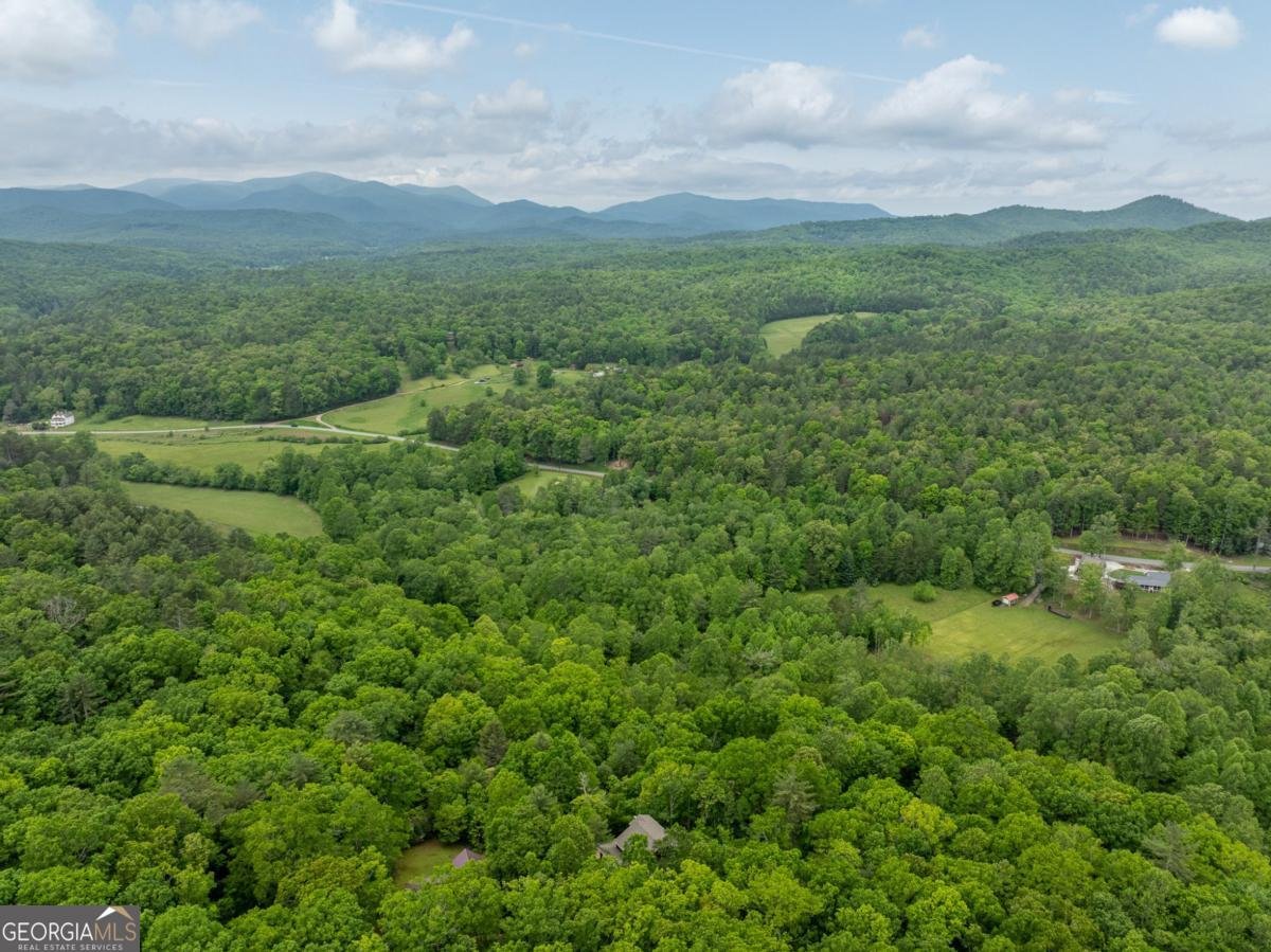 32 Grice Woods Road Blue Ridge - 23