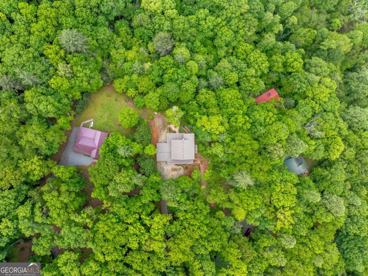32 Grice Woods Road Blue Ridge - 24